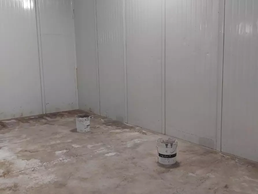 Immagine 7 di Magazzino in affitto  a Massa