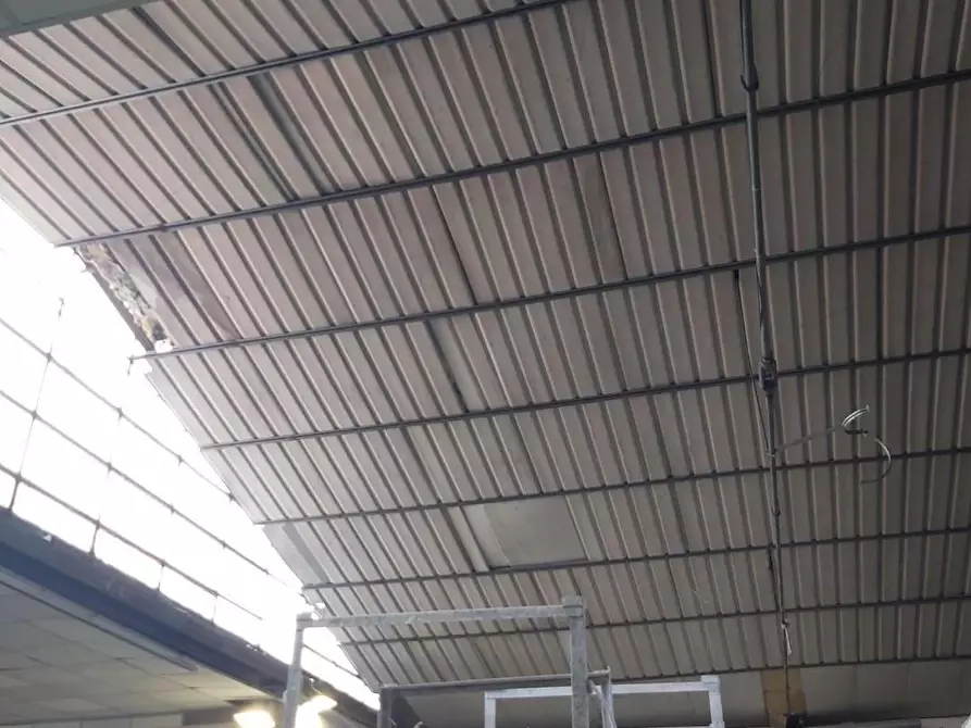 Immagine 3 di Magazzino in affitto  a Massa