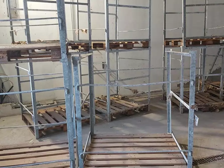 Immagine 14 di Magazzino in affitto  a Massa
