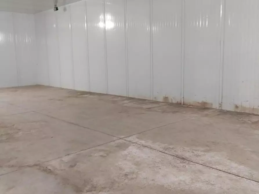 Immagine 5 di Magazzino in affitto  a Massa