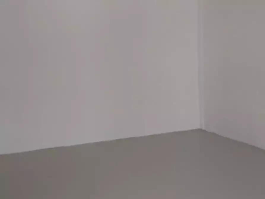 Immagine 4 di Attività artigianale in affitto  a Massa