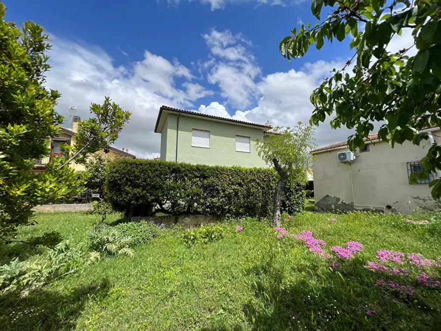 Immagine 2 di Villa in vendita  a Bibbona