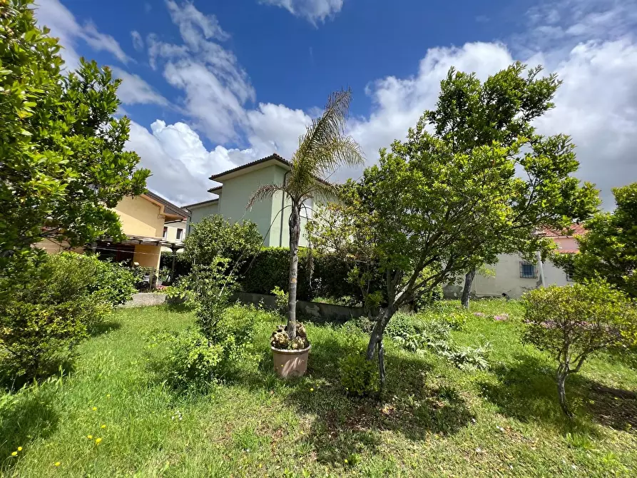 Immagine 43 di Villa in vendita  a Bibbona