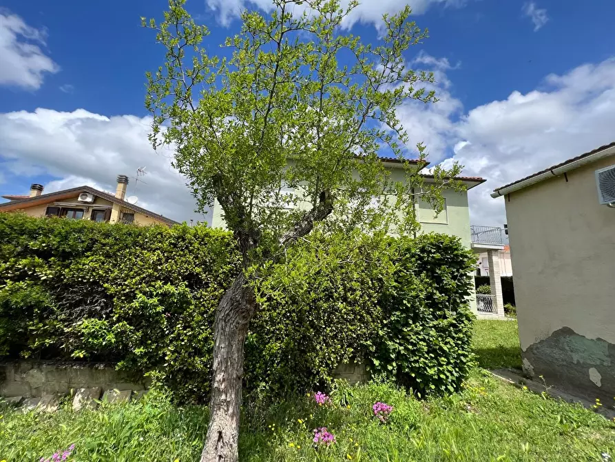 Immagine 39 di Villa in vendita  a Bibbona