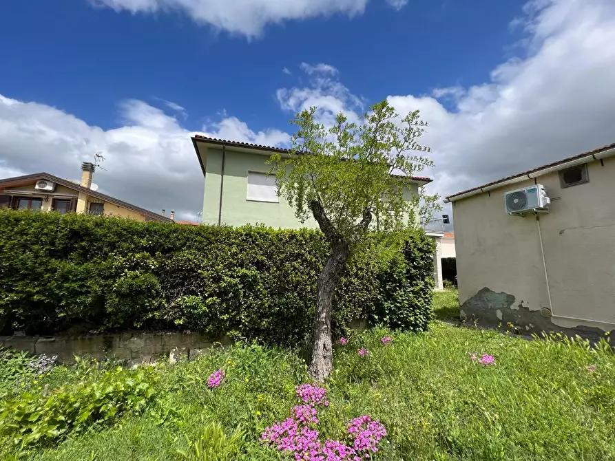 Immagine 36 di Villa in vendita  a Bibbona