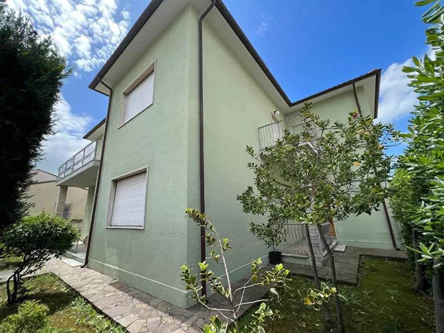 Immagine 5 di Villa in vendita  a Bibbona