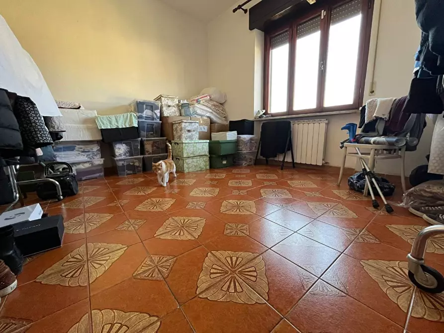 Immagine 17 di Terratetto in vendita  a San Giuliano Terme