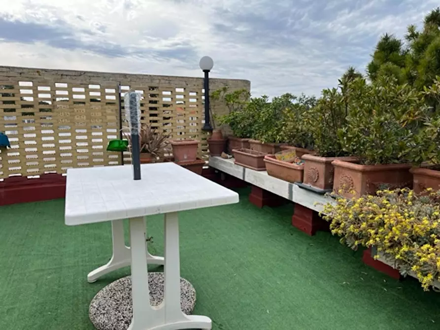 Immagine 42 di Appartamento in vendita  a Bibbona