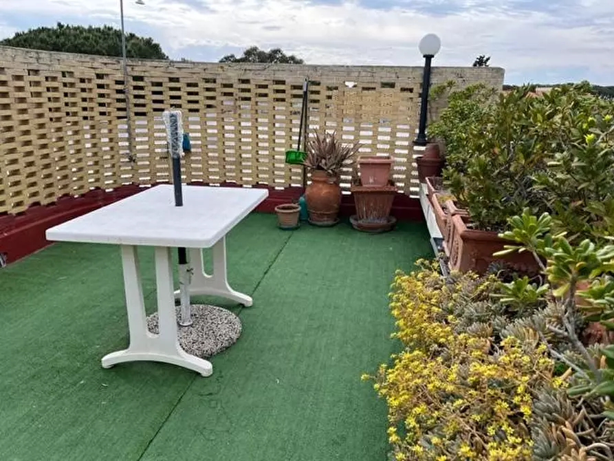 Immagine 45 di Appartamento in vendita  a Bibbona