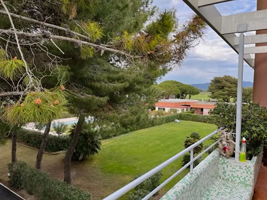 Immagine 27 di Appartamento in vendita  a Bibbona