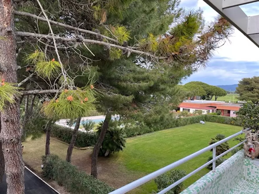 Immagine 26 di Appartamento in vendita  a Bibbona