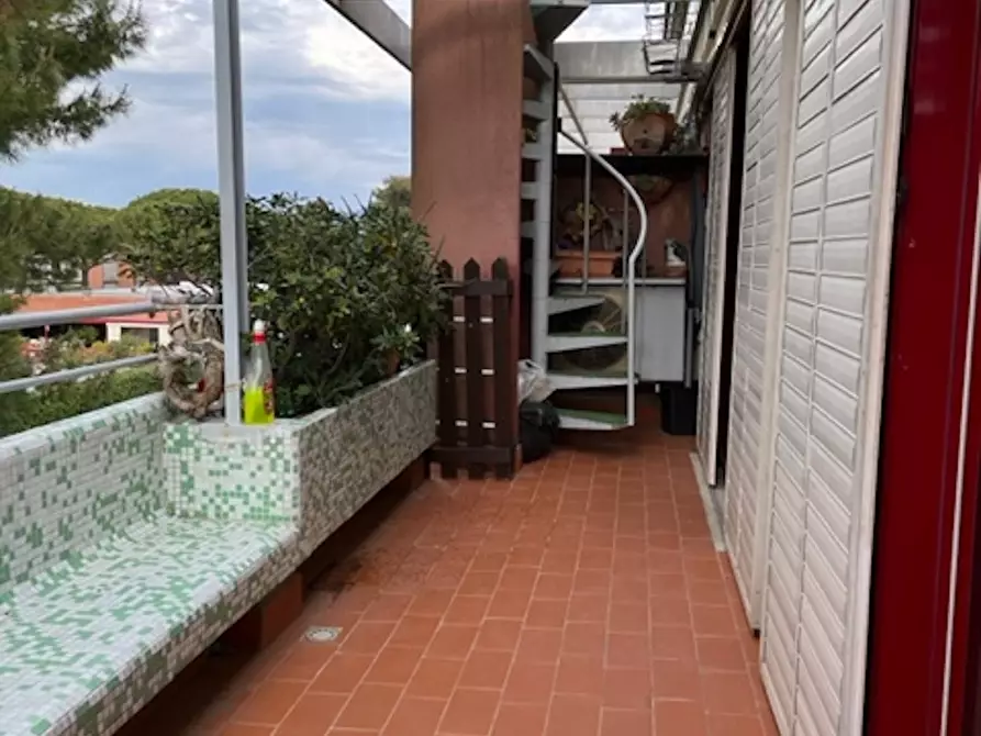 Immagine 28 di Appartamento in vendita  a Bibbona