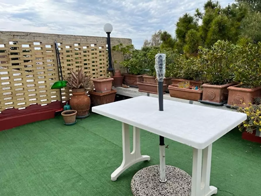 Immagine 41 di Appartamento in vendita  a Bibbona