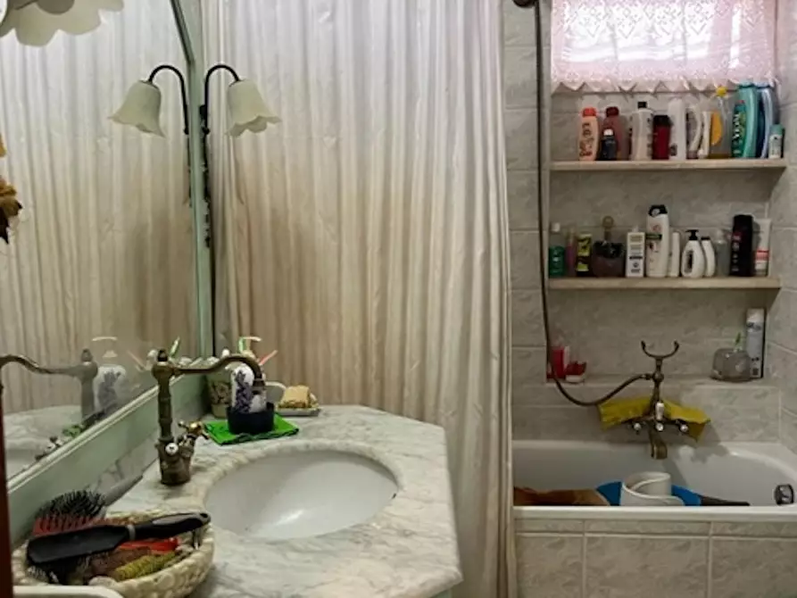 Immagine 33 di Appartamento in vendita  a Bibbona