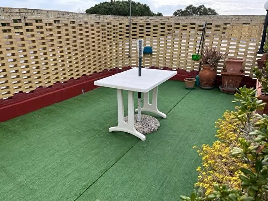 Immagine 44 di Appartamento in vendita  a Bibbona