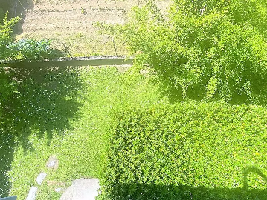 Immagine 19 di Casa bifamiliare in vendita  a Massa