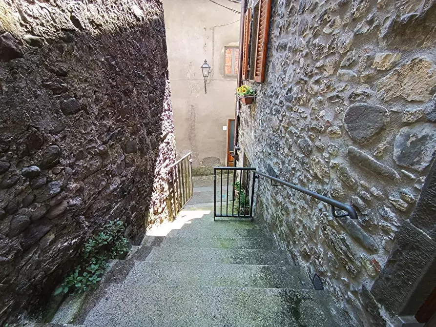 Immagine 31 di Terratetto in vendita  a Fabbriche Di Vergemoli