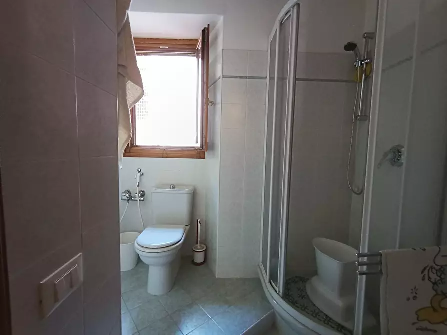 Immagine 28 di Terratetto in vendita  a Fabbriche Di Vergemoli