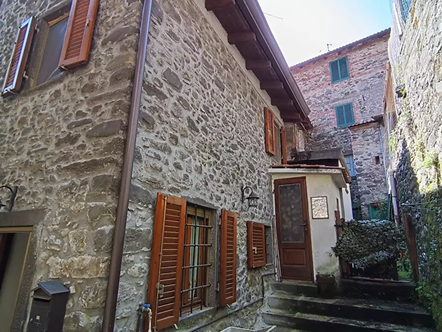 Immagine 33 di Terratetto in vendita  a Fabbriche Di Vergemoli