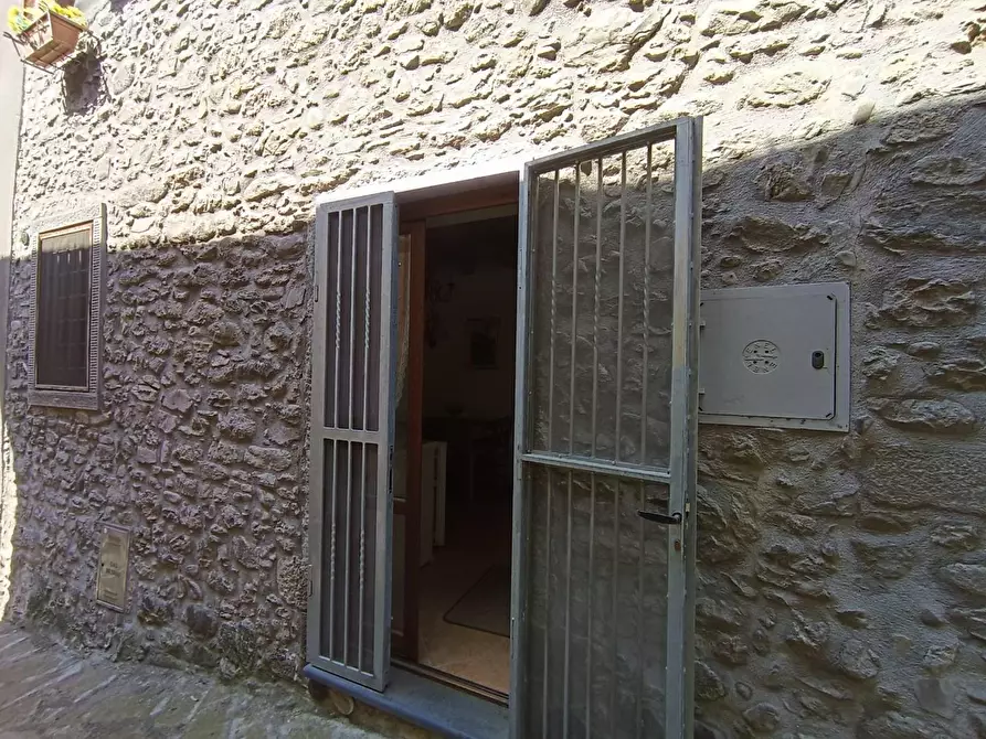 Immagine 29 di Terratetto in vendita  a Fabbriche Di Vergemoli