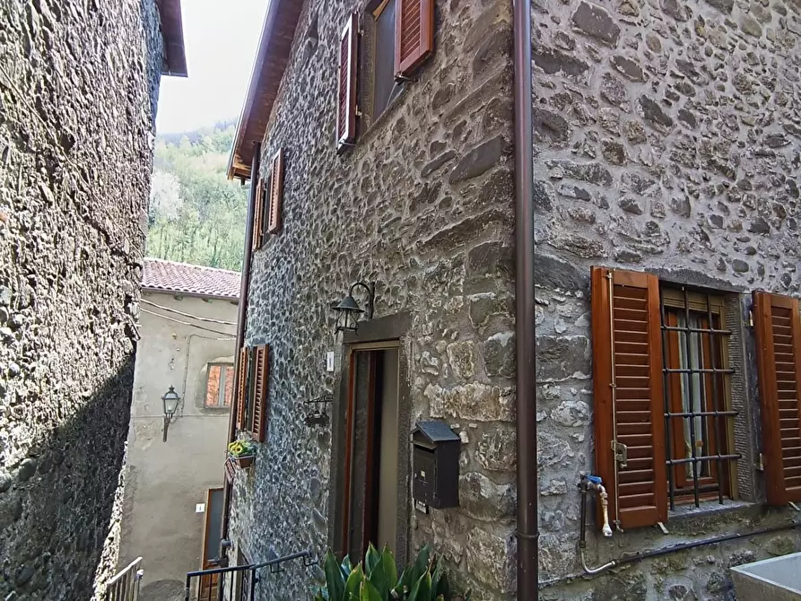 Immagine 32 di Terratetto in vendita  a Fabbriche Di Vergemoli