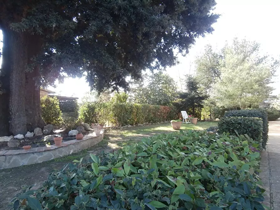 Immagine 1 di Porzione di casa in vendita  a Colle Di Val D'elsa