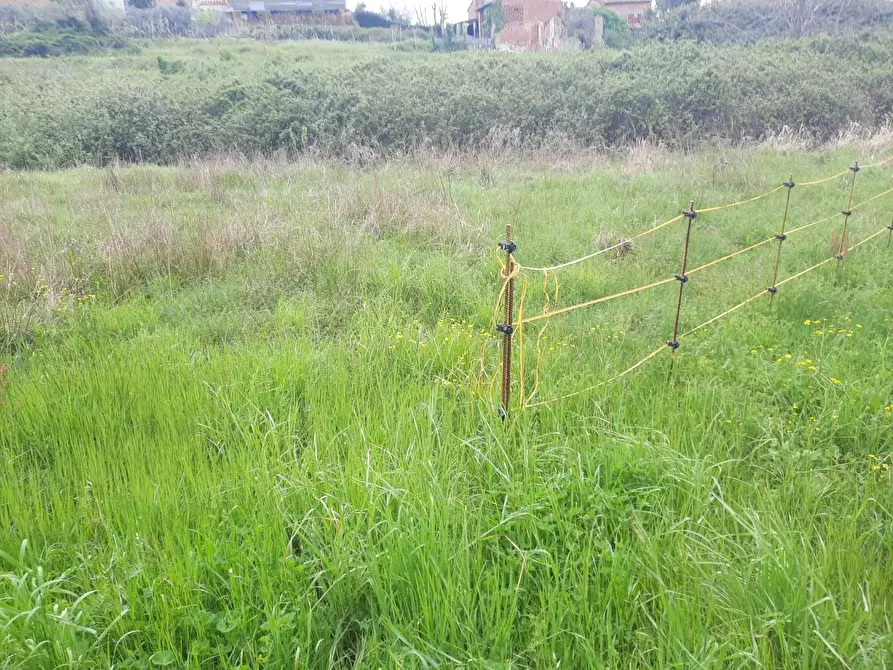 Immagine 3 di Deposito in vendita  a Capannori