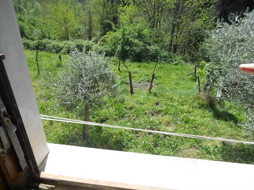 Immagine 11 di Rustico / casale in vendita  a Barga