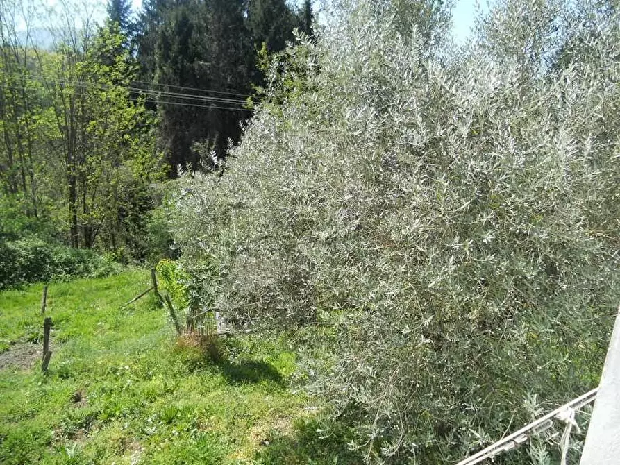 Immagine 10 di Rustico / casale in vendita  a Barga