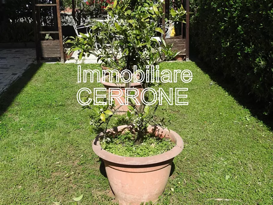 Immagine 1 di Casa indipendente in vendita  a Cecina