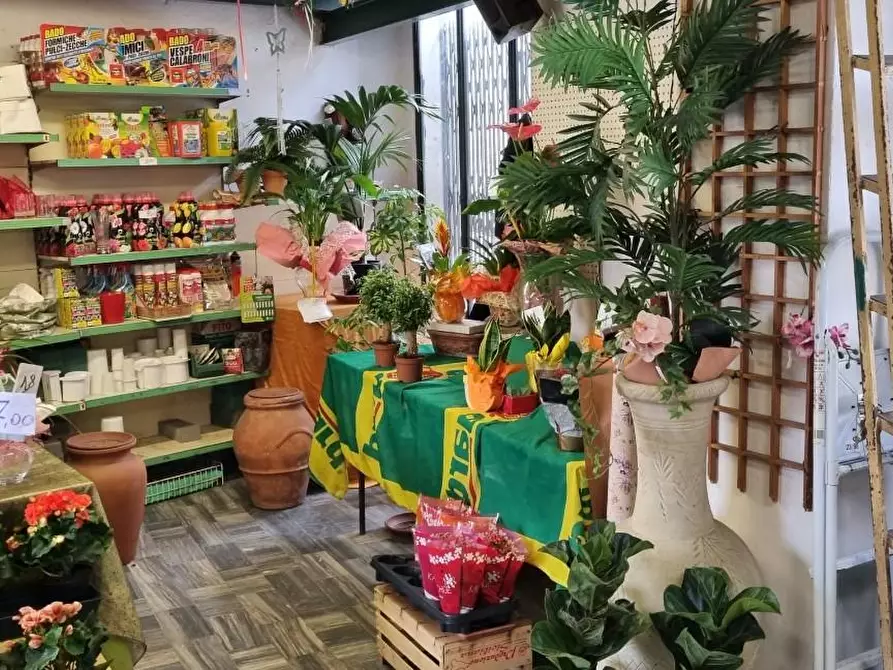 Immagine 5 di Negozio in vendita  a Carrara