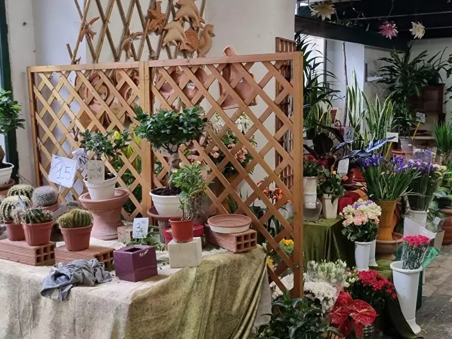 Immagine 3 di Negozio in vendita  a Carrara