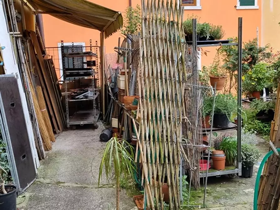 Immagine 6 di Negozio in vendita  a Carrara