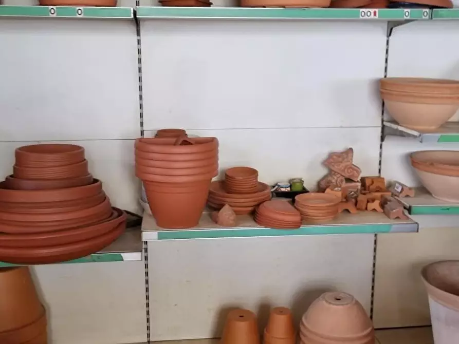 Immagine 9 di Negozio in vendita  a Carrara