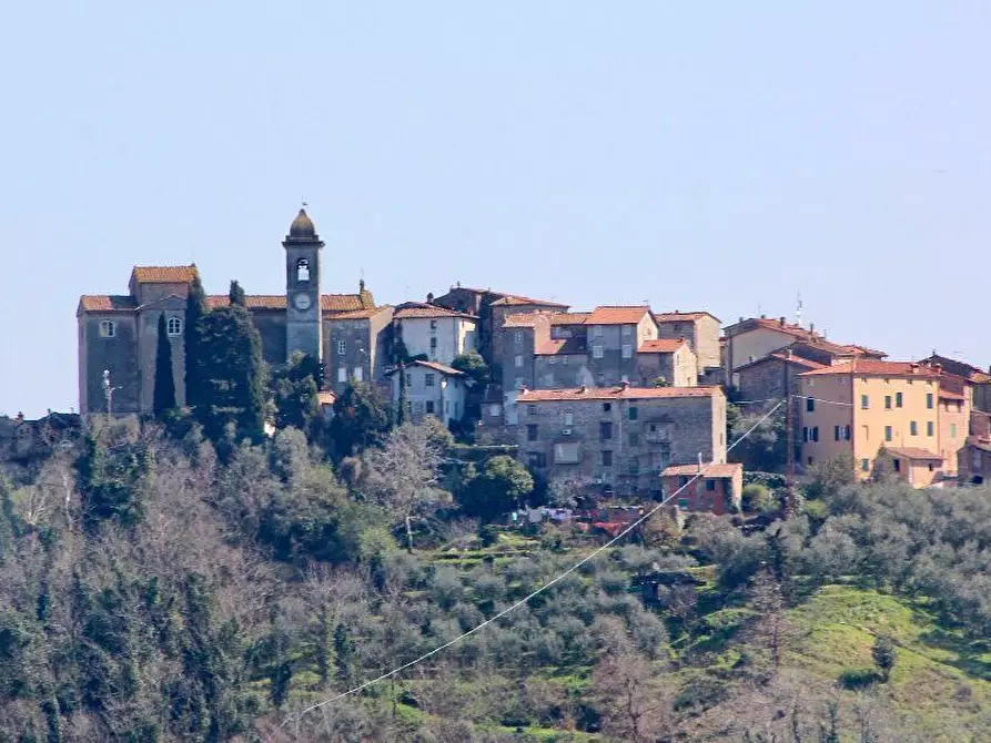 Immagine 16 di Terratetto in vendita  a Capannori