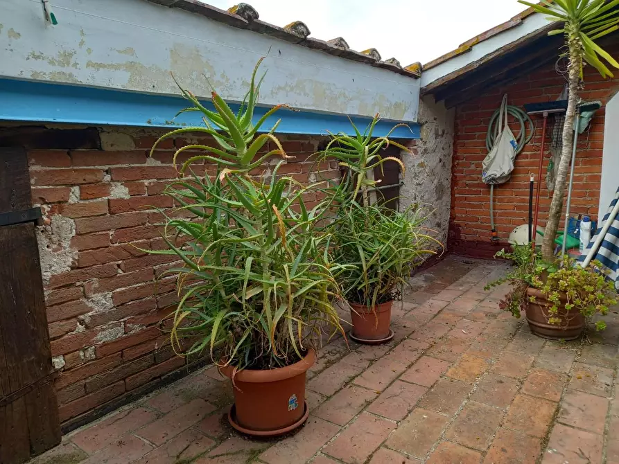 Immagine 6 di Terratetto in vendita  a Capannori