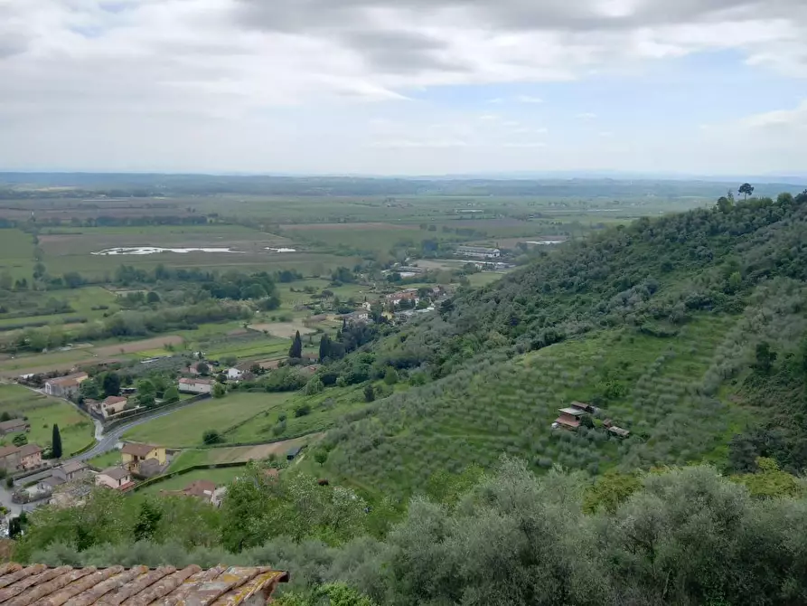 Immagine 13 di Terratetto in vendita  a Capannori
