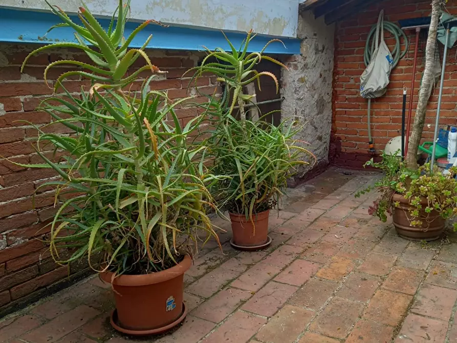 Immagine 5 di Terratetto in vendita  a Capannori