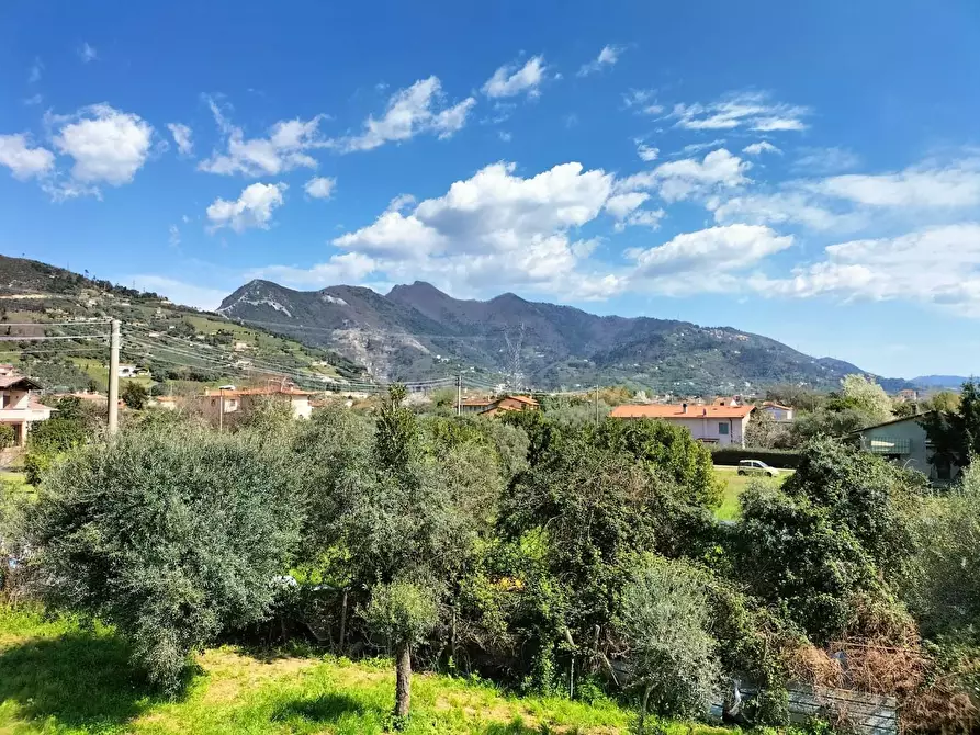 Immagine 21 di Villa in vendita  a Pietrasanta