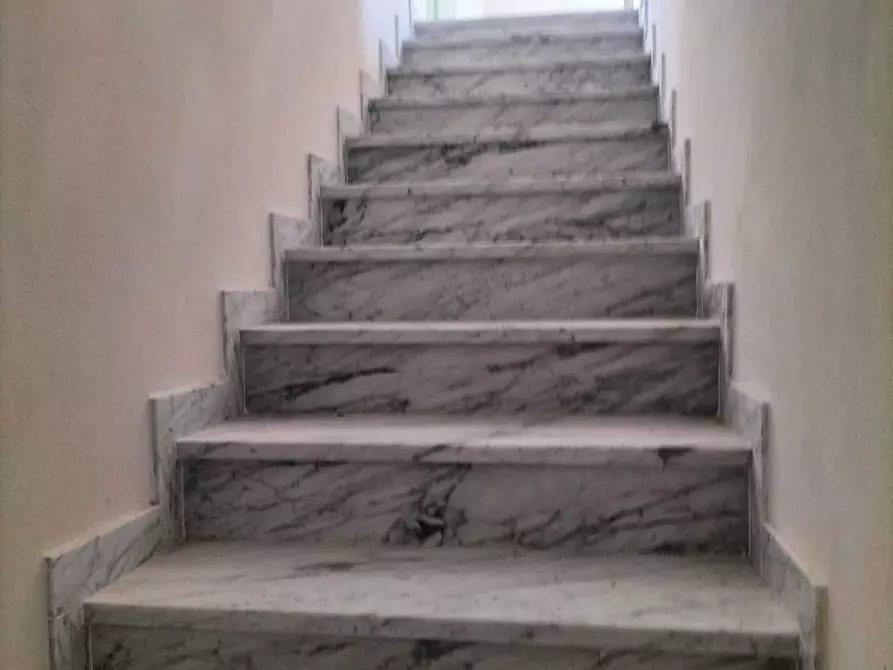 Immagine 15 di Villa in vendita  a Pietrasanta