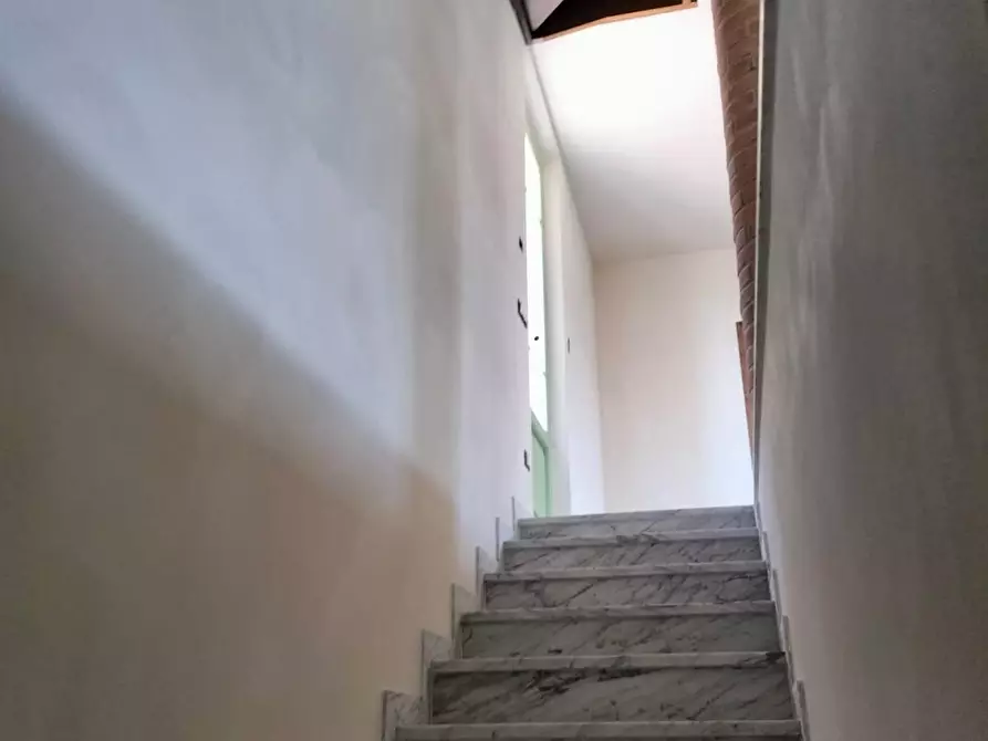 Immagine 17 di Villa in vendita  a Pietrasanta
