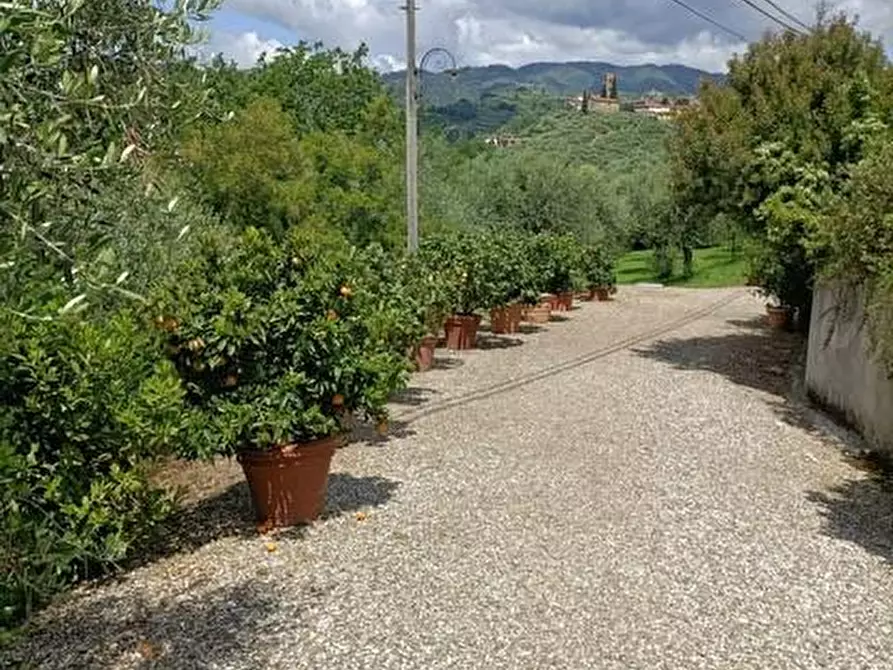 Immagine 54 di Casa colonica in vendita  a Buggiano