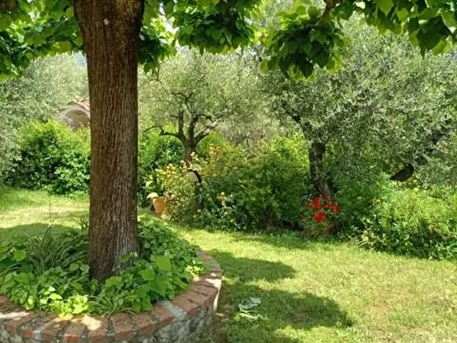 Immagine 53 di Casa colonica in vendita  a Buggiano