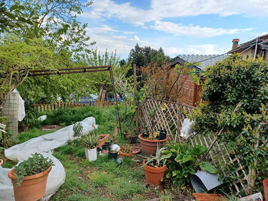 Immagine 14 di Terratetto in vendita  a Capraia E Limite