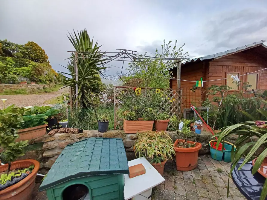 Immagine 10 di Terratetto in vendita  a Capraia E Limite