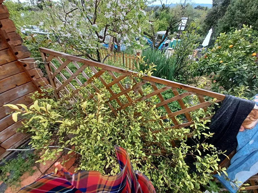 Immagine 11 di Terratetto in vendita  a Capraia E Limite