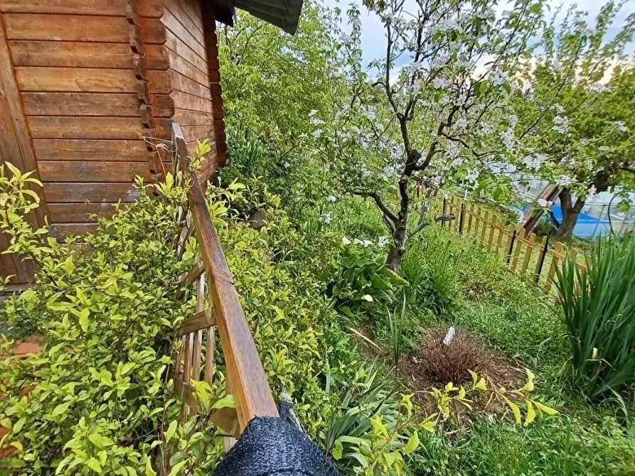 Immagine 12 di Terratetto in vendita  a Capraia E Limite