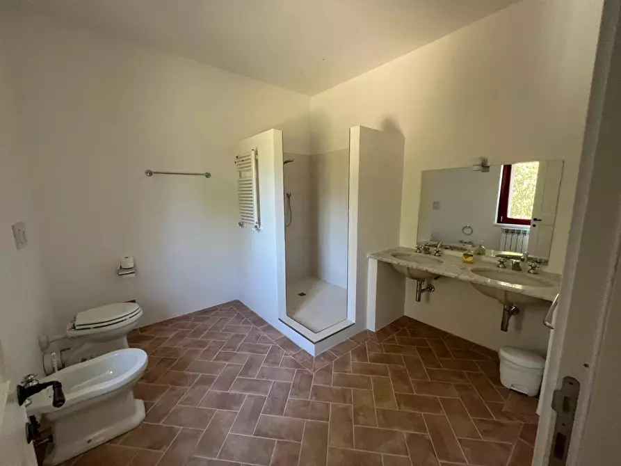 Immagine 12 di Rustico / casale in affitto  a Castelfiorentino