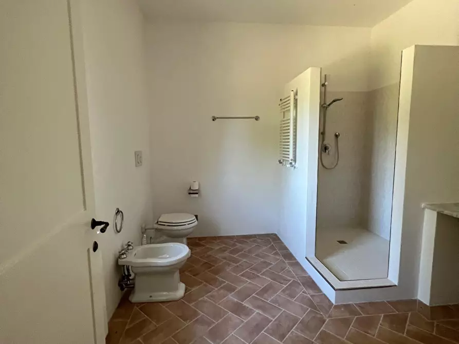 Immagine 11 di Rustico / casale in affitto  a Castelfiorentino