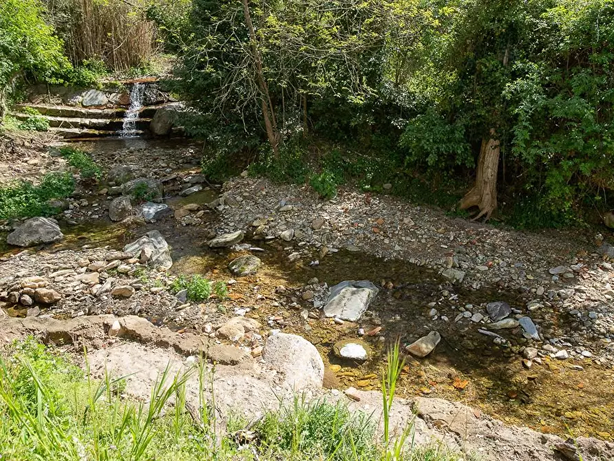 Immagine 39 di Immobile di prestigio in vendita  a Pisa